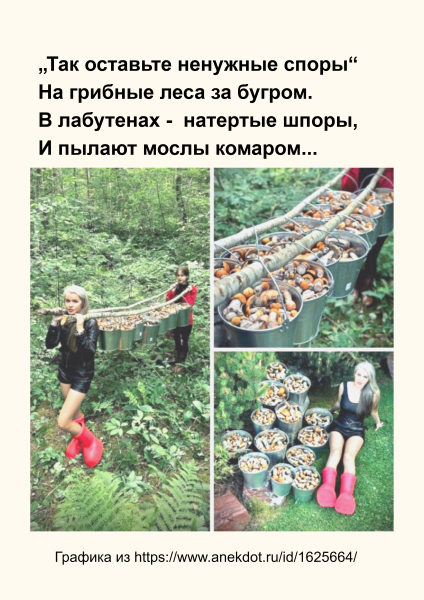 Мем, Болтабай