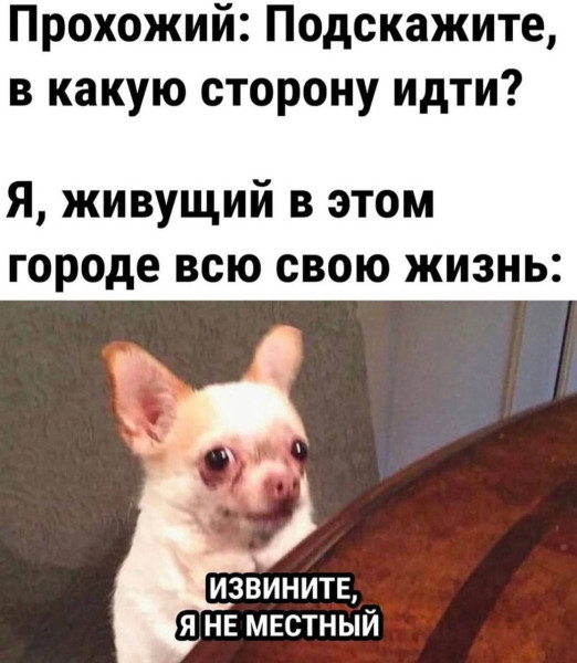 Мем, Антиклептократ Мем, Антиклептократ
