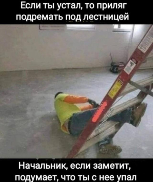 Мем: неё, Антиклептократ Мем: неё, Антиклептократ