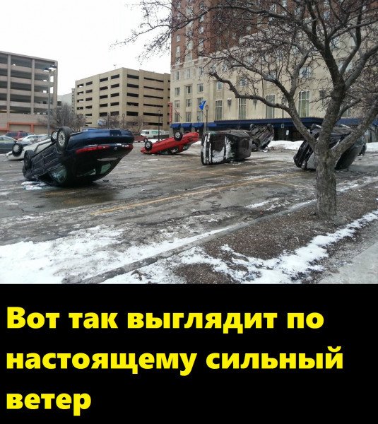 Мем, Лис Интересный Мем, Лис Интересный