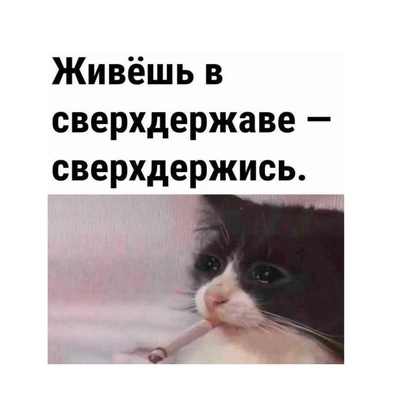 Мем, Bassplayer
