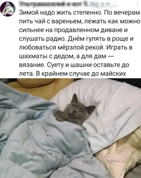 Мем