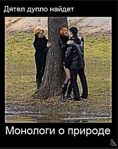 Мем: Зоологический музей, Кондратъ Мем: Зоологический музей, Кондратъ