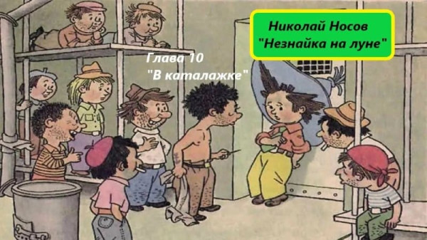 Мем, Diogenes