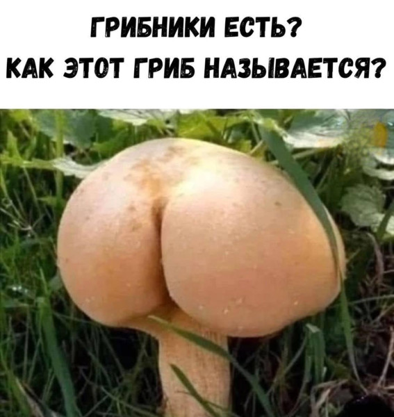 Мем, Hendry Мем, Hendry