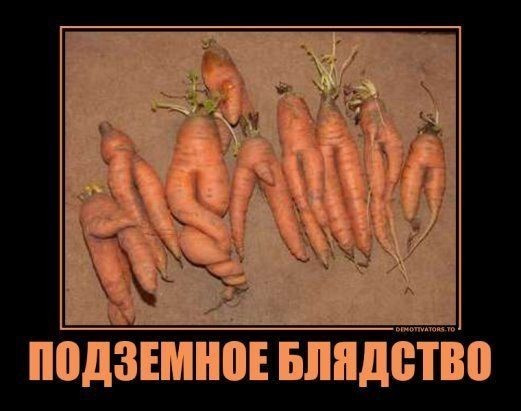 Мем, B8 Мем, B8