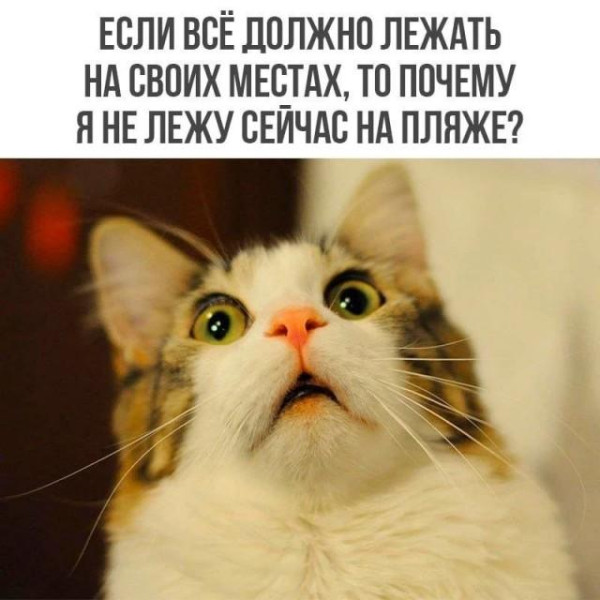 Мем, Антиклептократ Мем, Антиклептократ