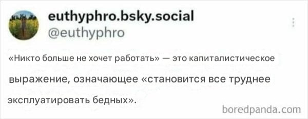 Мем, Diogenes