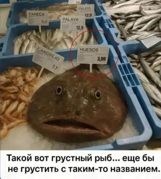 Мем, Ashmedai