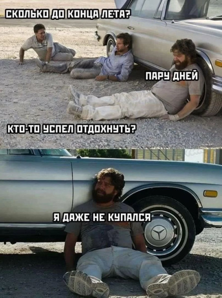 Мем, Bassplayer Мем, Bassplayer