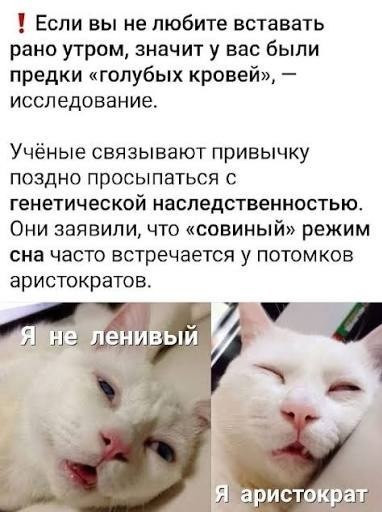 Мем, Bassplayer Мем, Bassplayer