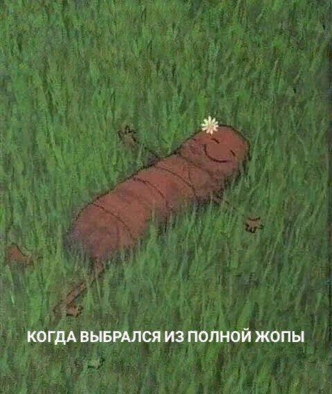 Мем, Ashmedai Мем, Ashmedai