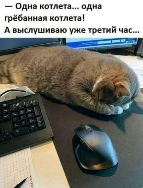 Мем: грёбаная, Антиклептократ
