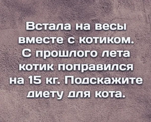 Мем, Антиклептократ Мем, Антиклептократ