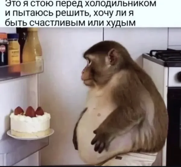 Мем, Антиклептократ Мем, Антиклептократ