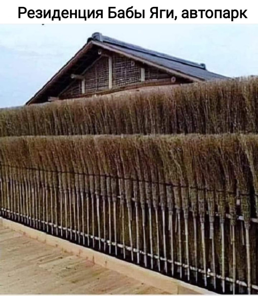 Мем, Рысь Мем, Рысь