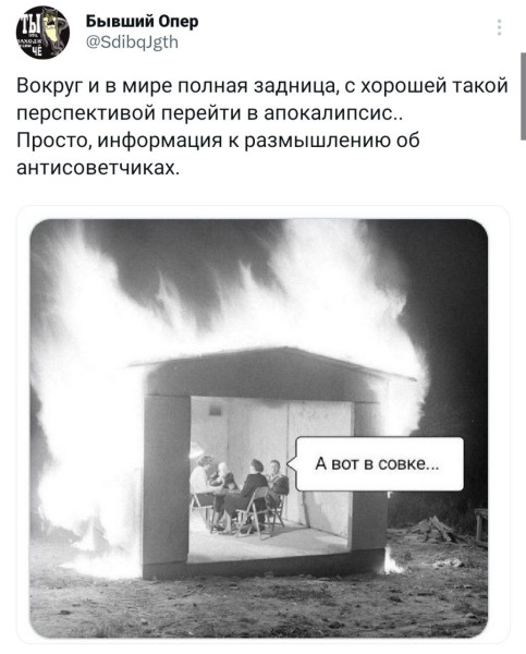 Мем, Diogenes Мем, Diogenes