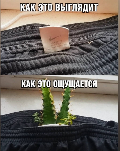 Мем, Ashmedai Мем, Ashmedai