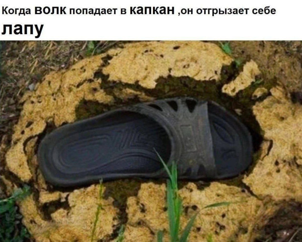 Мем, Ashmedai Мем, Ashmedai