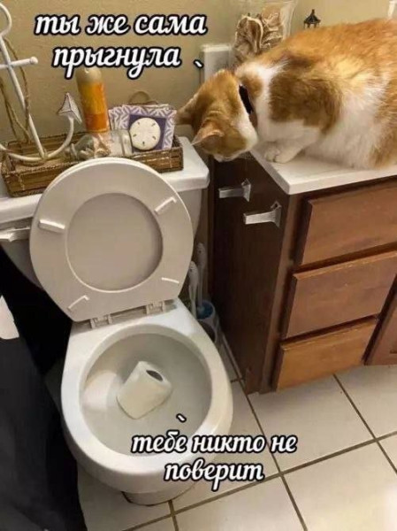 Мем, Леонид Хлыновский Мем, Леонид Хлыновский