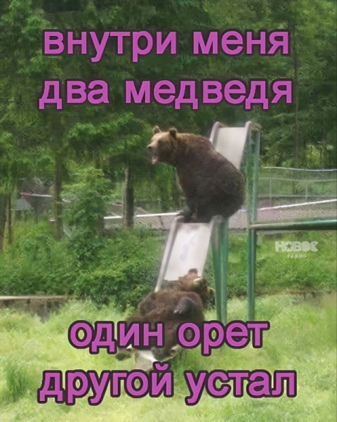 Мем, Леонид Хлыновский Мем, Леонид Хлыновский