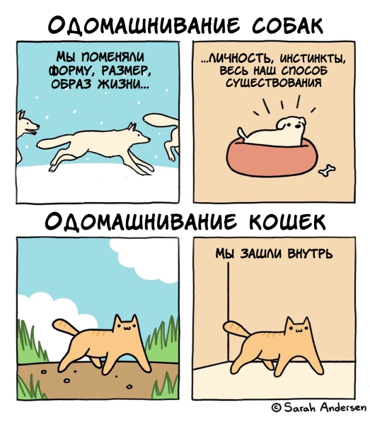 Мем, ArsenZahar5 Мем, ArsenZahar5