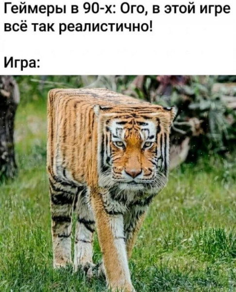 Мем, Антиклептократ Мем, Антиклептократ