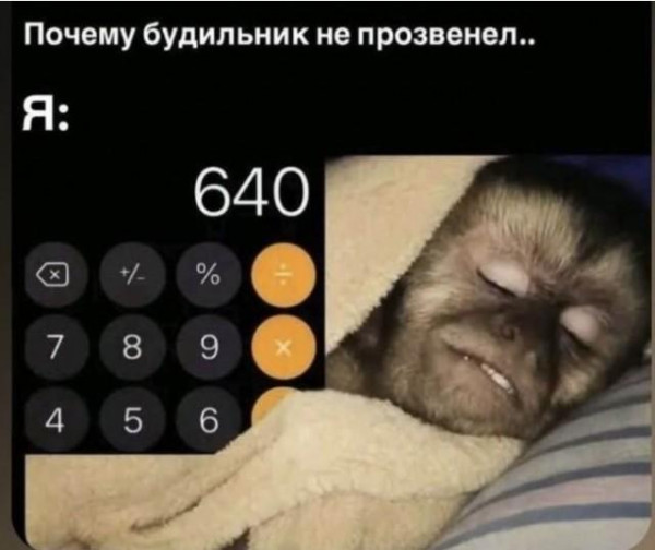 Мем, Антиклептократ Мем, Антиклептократ