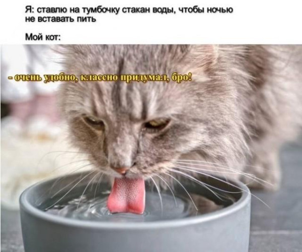 Мем, Антиклептократ Мем, Антиклептократ