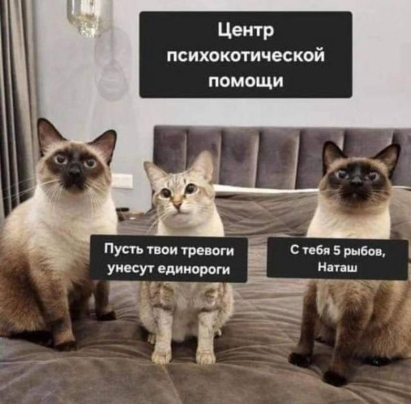 Мем, Антиклептократ Мем, Антиклептократ