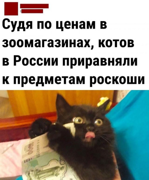 Мем, Антиклептократ Мем, Антиклептократ