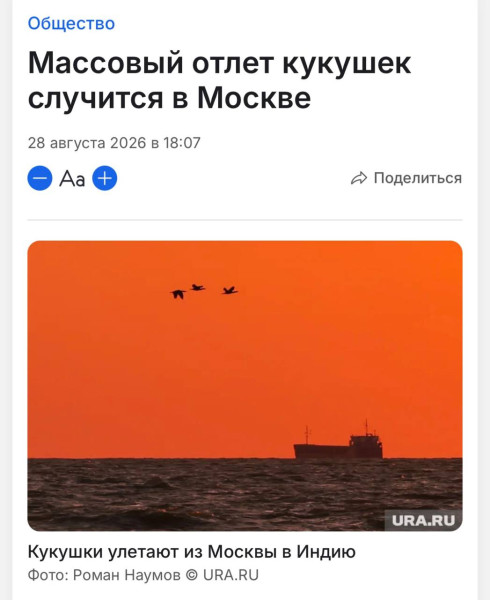 Мем, Максим Камерер