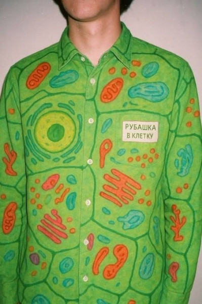 Мем, Ingrid Lovera Мем, Ingrid Lovera