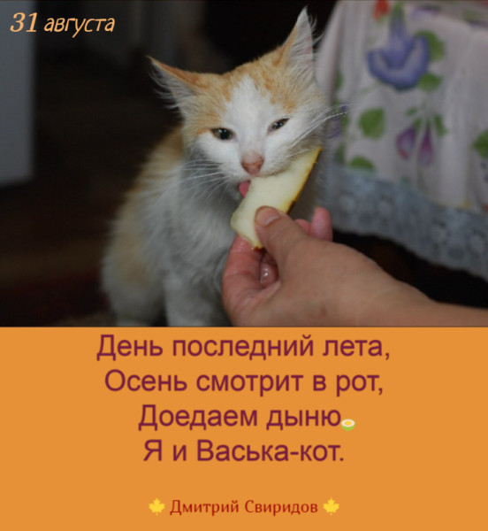 Мем Мем