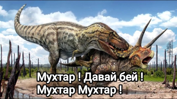 Мем: Мухтар, Даниил Колбасенко Мем: Мухтар, Даниил Колбасенко