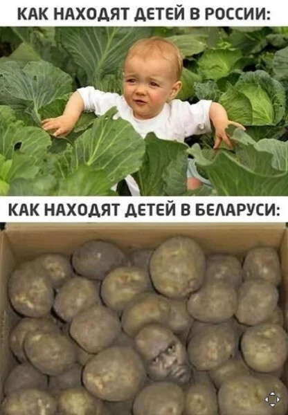 Мем, Антиклептократ Мем, Антиклептократ