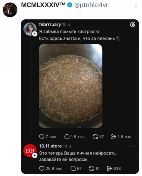 Мем, Антиклептократ Мем, Антиклептократ