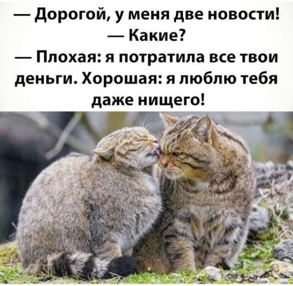 Мем, Антиклептократ Мем, Антиклептократ