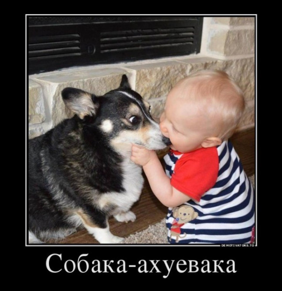 Мем Мем