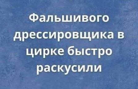 Мем, Ashmedai Мем, Ashmedai
