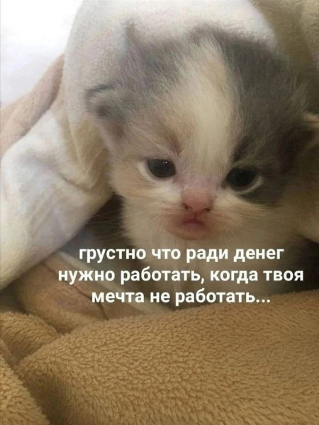 Мем, Леонид Хлыновский Мем, Леонид Хлыновский