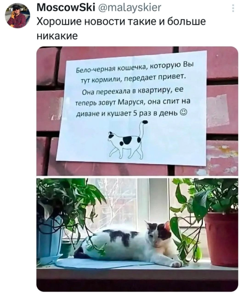 Мем, ArsenZahar5 Мем, ArsenZahar5