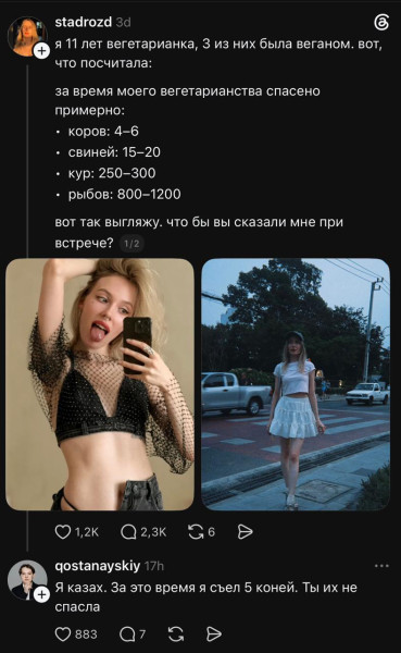 Мем, Bassplayer Мем, Bassplayer