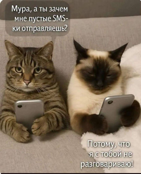 Мем, anberg Мем, anberg