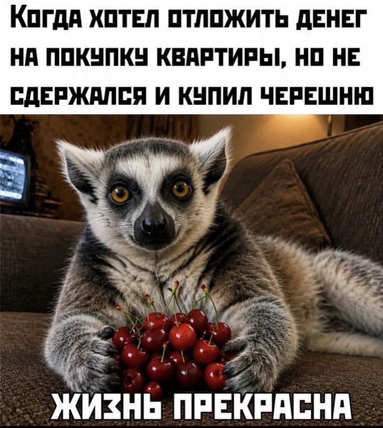 Мем, Антиклептократ Мем, Антиклептократ