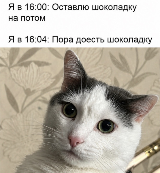 Мем, Антиклептократ Мем, Антиклептократ