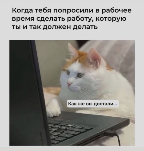 Мем, Антиклептократ Мем, Антиклептократ