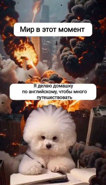 Мем, Рысь Мем, Рысь