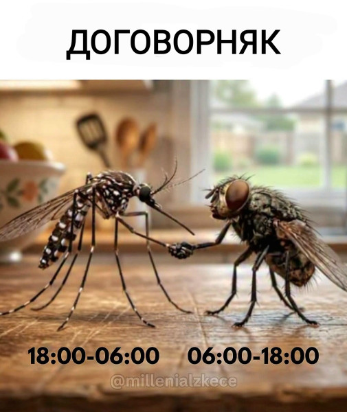 Мем, Рысь Мем, Рысь