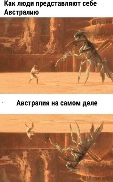 Мем, Леонид Хлыновский Мем, Леонид Хлыновский